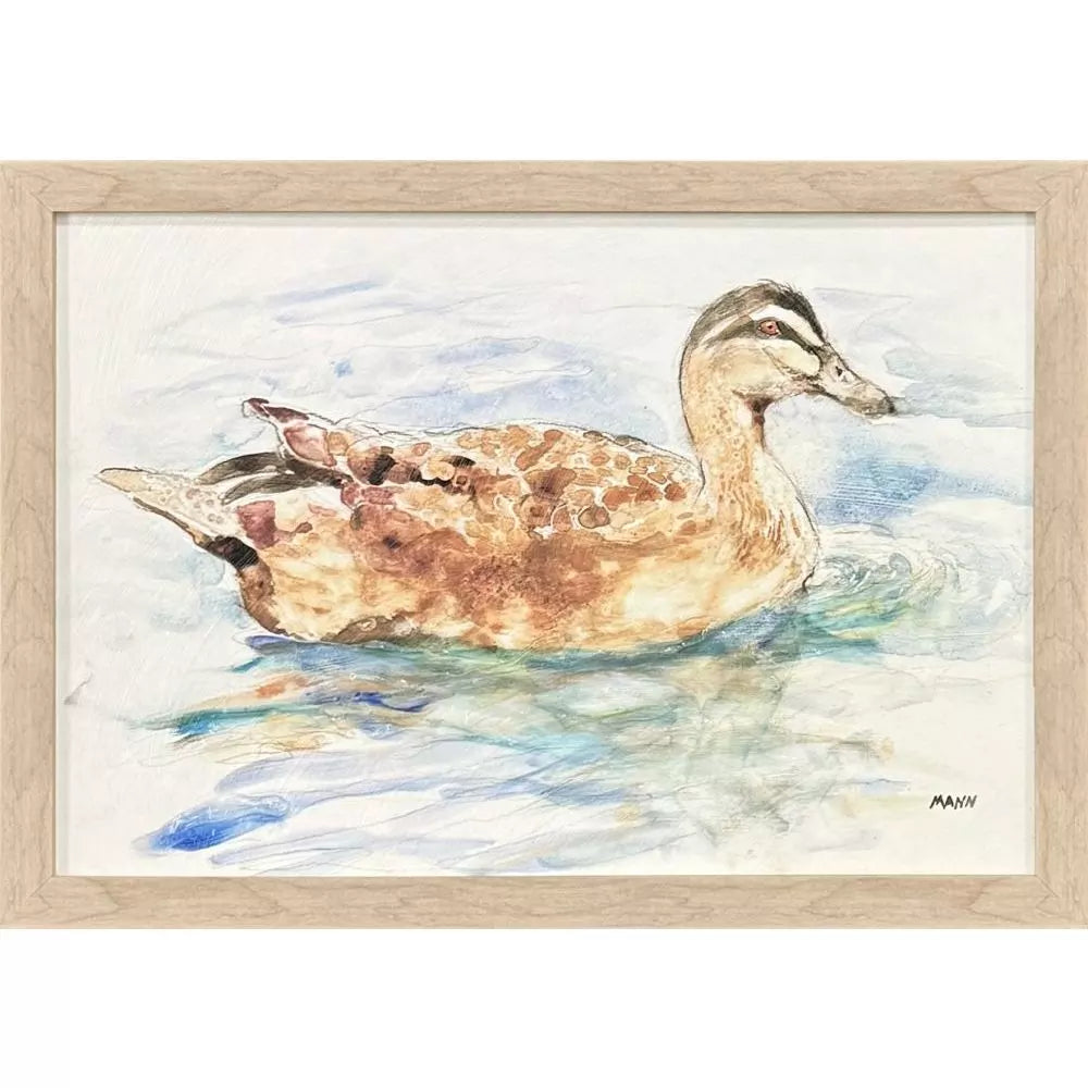 Water Ducks