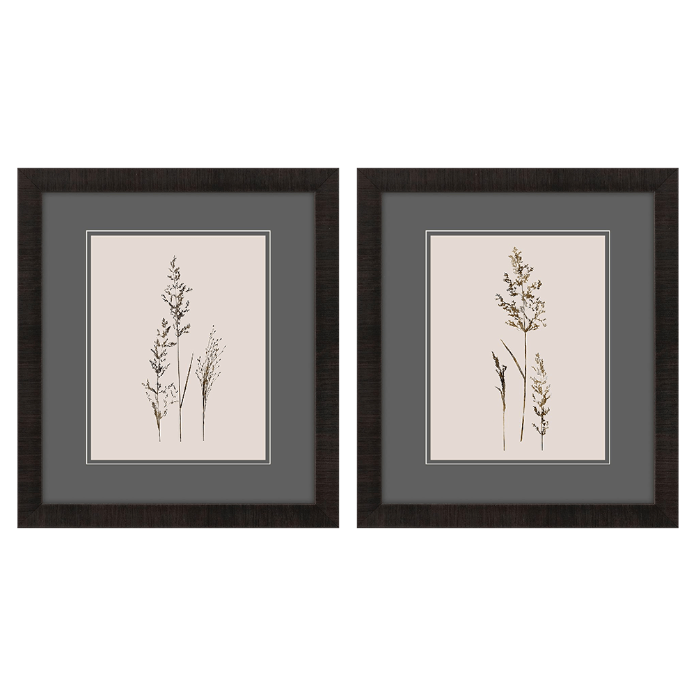 Delicate Stems
