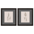 Delicate Stems