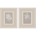 Delicate Botanicals
