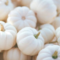 Whitewashed Mini Pumpkins (Bag of 6)