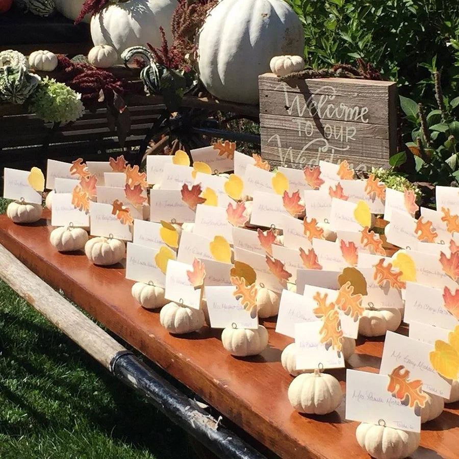 Whitewashed Mini Pumpkins (Bag of 6)