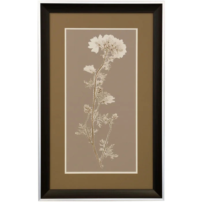 Kason Framed Prints