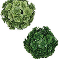 Echiveria Orbs-Sullivan's-Lasting Impressions