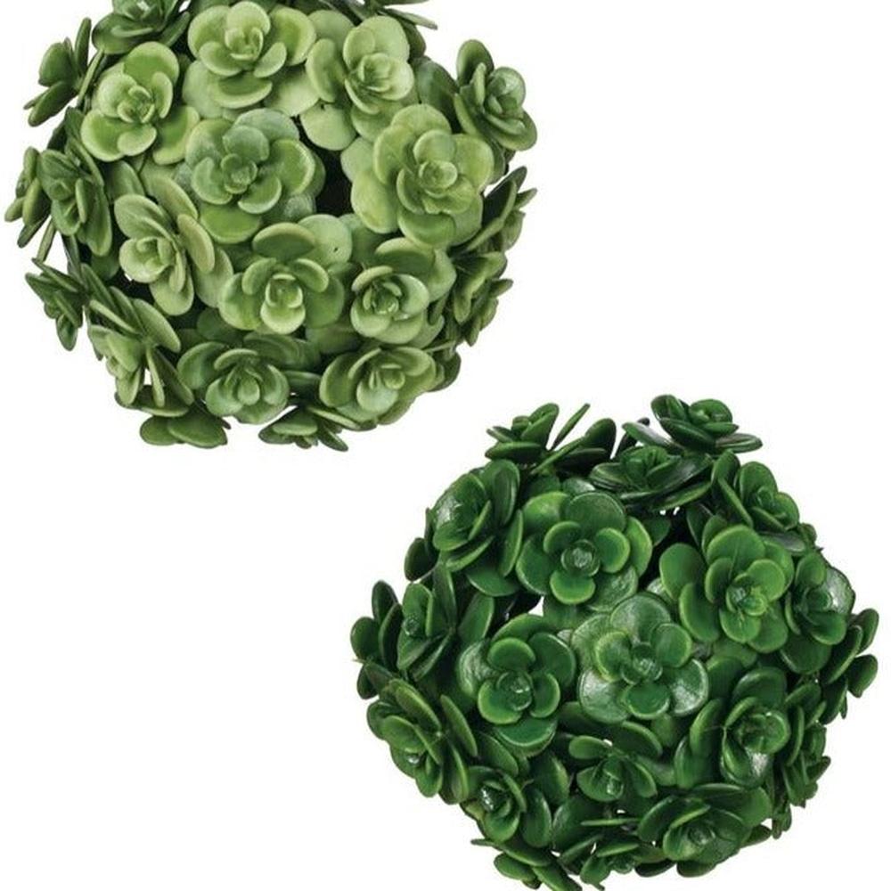Echiveria Orbs-Sullivan's-Lasting Impressions
