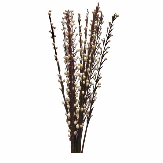 Zebra Stick Flower Branches