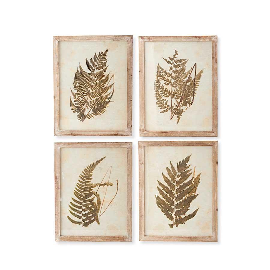 Natural Wood Framed Fern Prints-K&K Interiors-Lasting Impressions