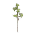 Leafy Green Succulent Stem With Mini Berries
