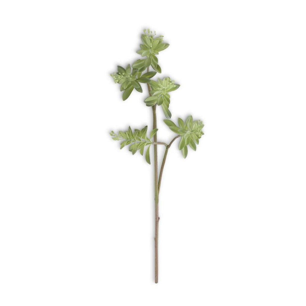 Leafy Green Succulent Stem With Mini Berries