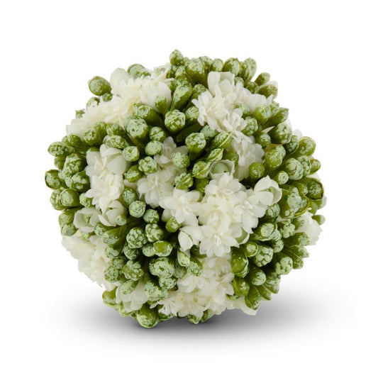 White Kalanchoe Ball