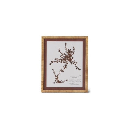 Brown & White Fern Print with Rattan