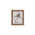 Brown & White Fern Print with Rattan Frame