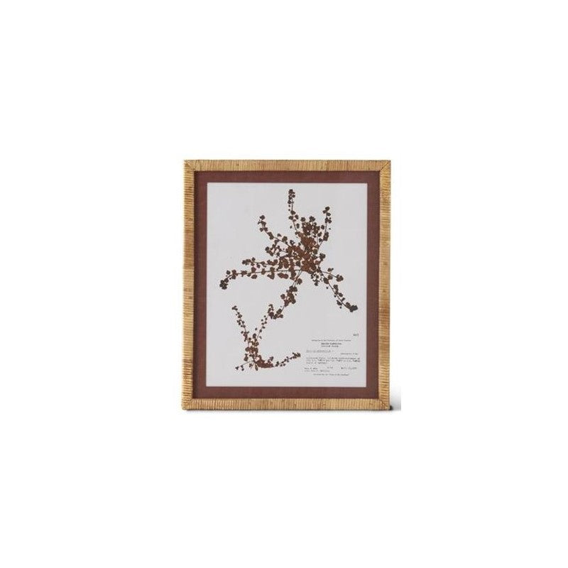 Brown & White Fern Print with Rattan Frame