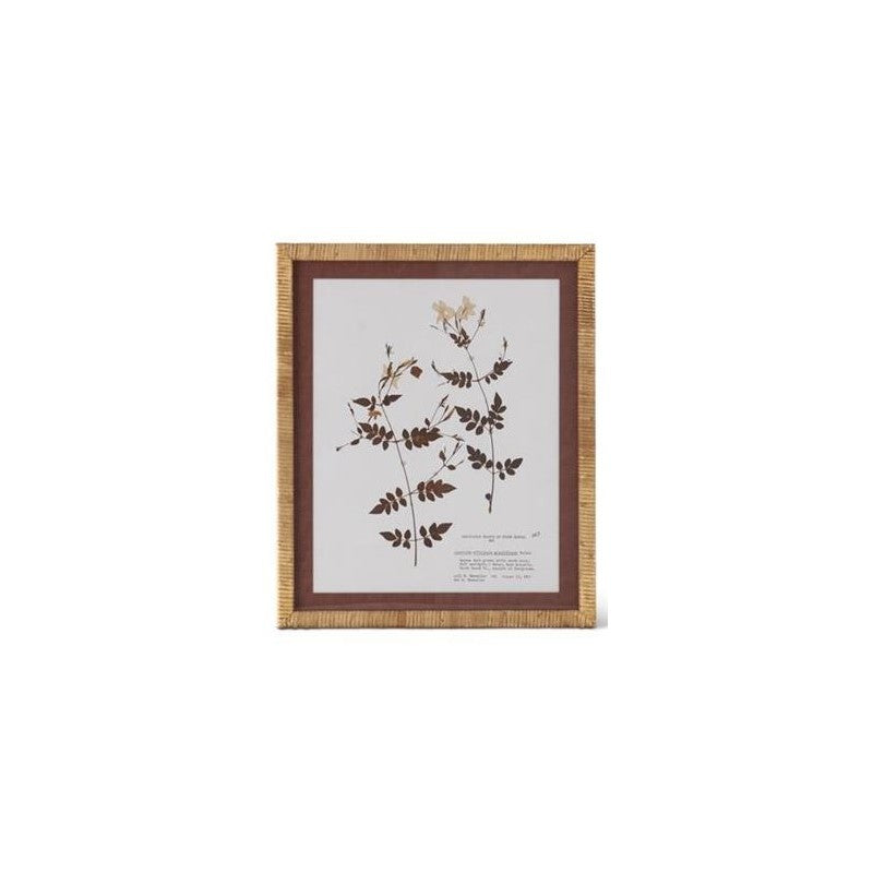 Brown & White Fern Print with Rattan Frame