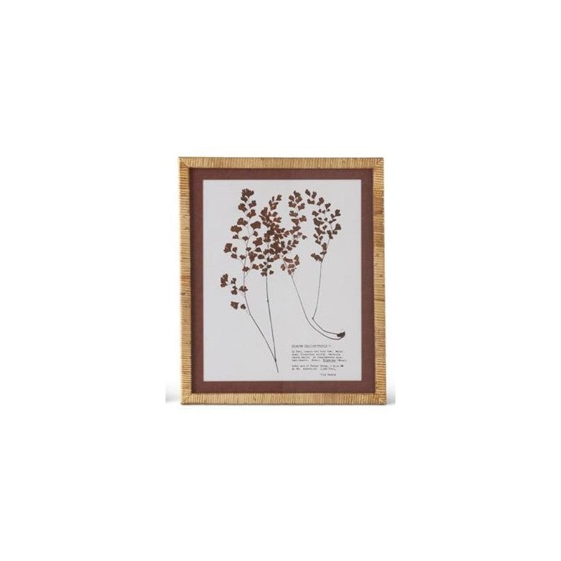 Brown & White Fern Print with Rattan Frame