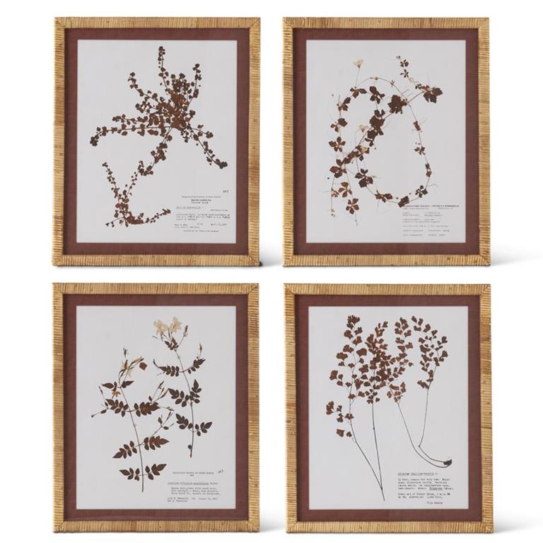 Brown & White Fern Print with Rattan Frame