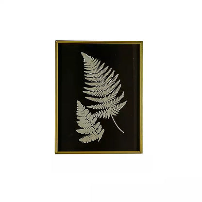 Black & White Fern Prints Under Glass