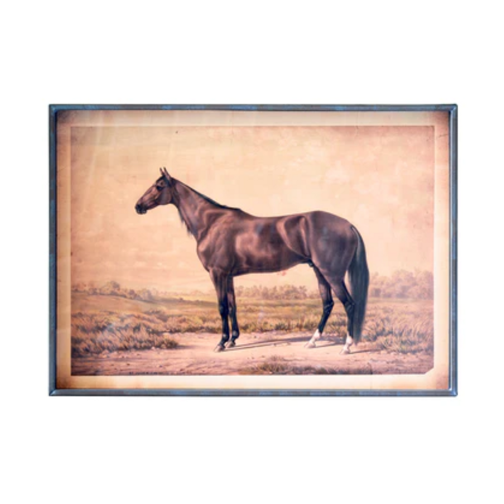 Horse Prints Under Glass Kalalou