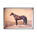 Horse Prints Under Glass Kalalou