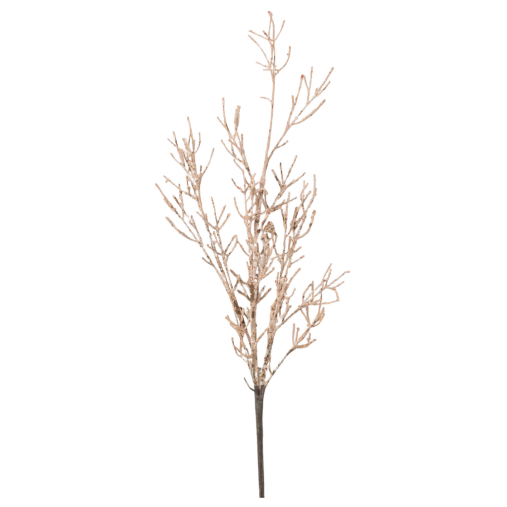 Dry Old Branch Set