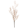 Dry Old Branch Set