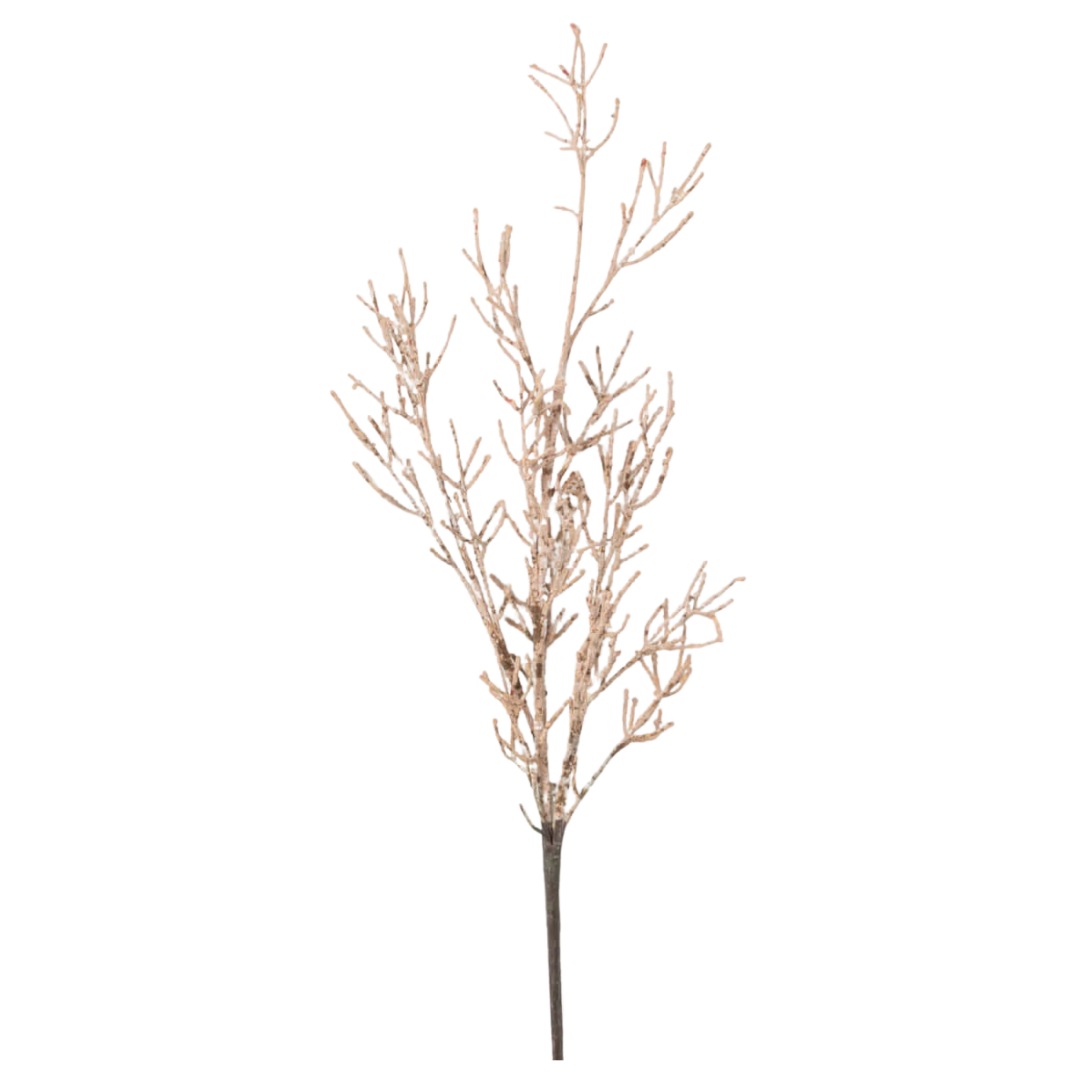 Dry Old Branch Set
