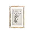 Glass Backing Cream Botanical Prints