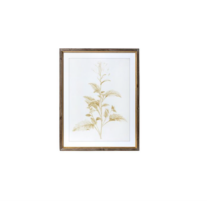 Sepia Botanical Framed Print