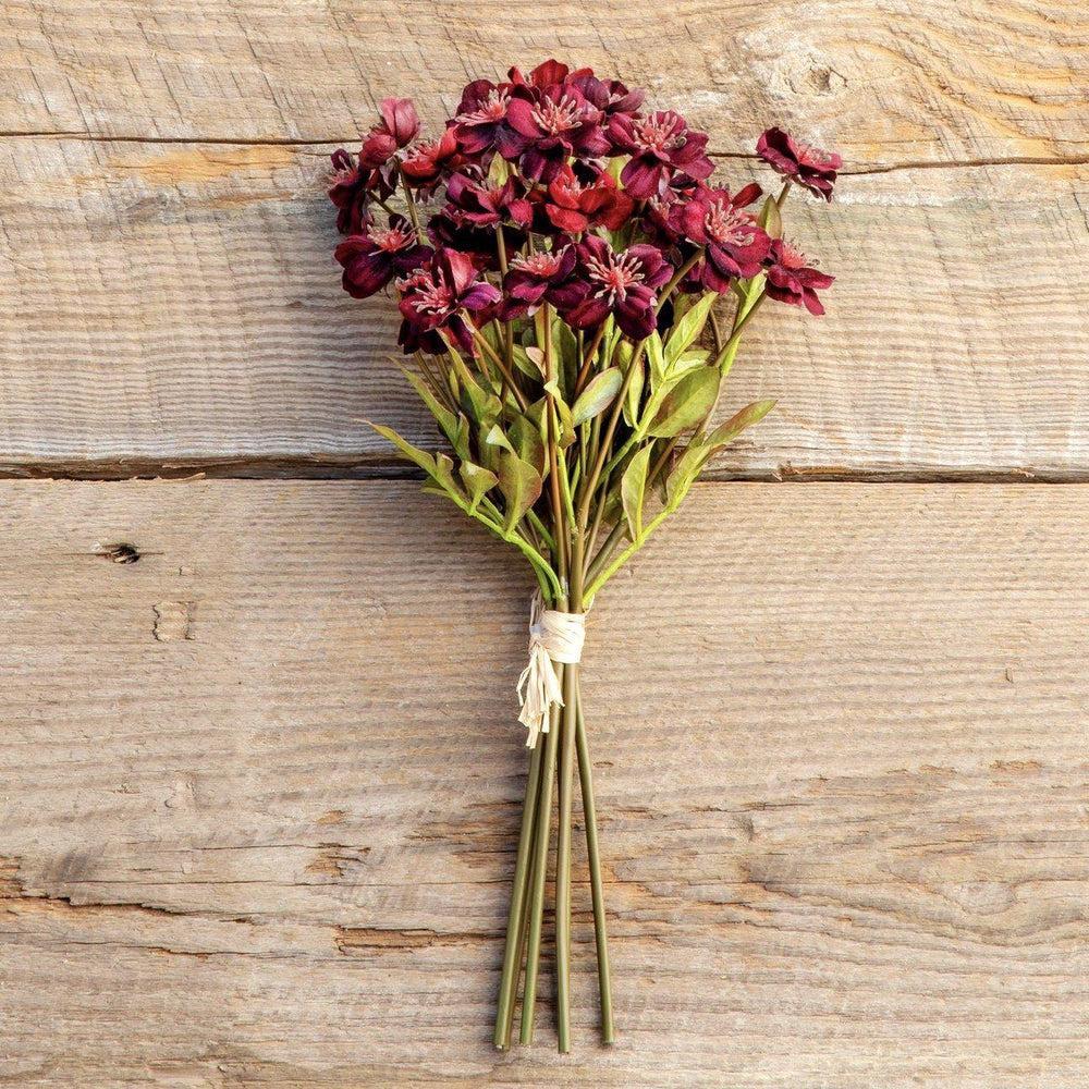 Burgundy Velvet Cosmos Bundle-Park Hill-Lasting Impressions