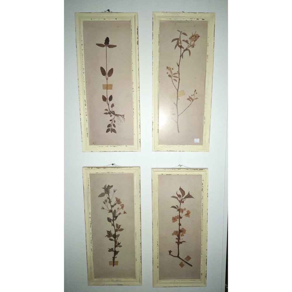 Rectangle Cream Botanical Prints