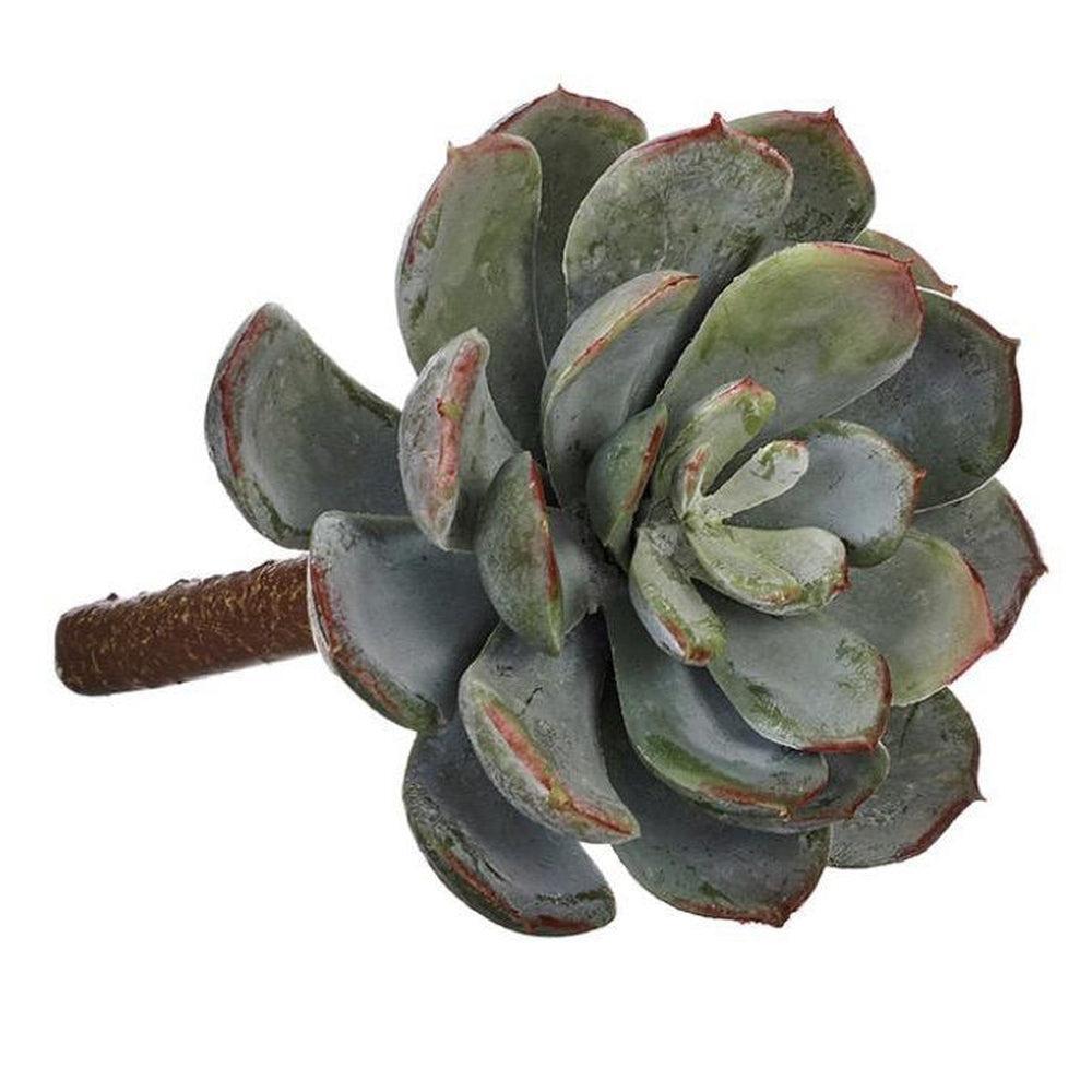 Single Stem Succulent-vendor-unknown-Lasting Impressions