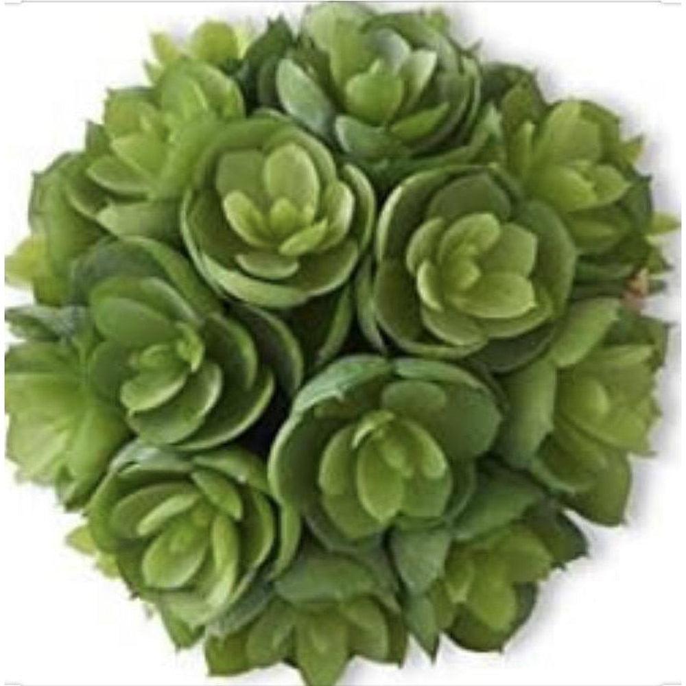 Succulent Ball-K&K Interiors-Lasting Impressions