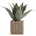 Woven Basket Plant-K&K Interiors-Lasting Impressions