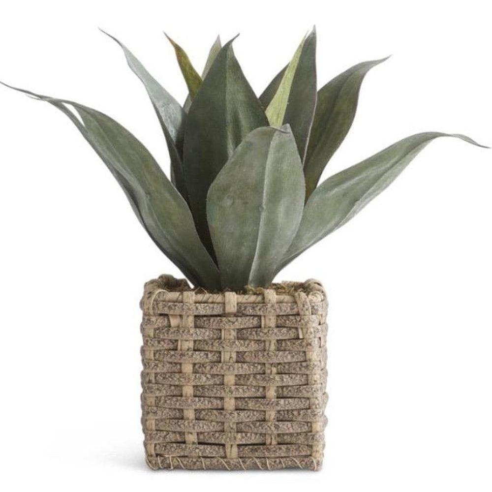 Woven Basket Plant-K&K Interiors-Lasting Impressions