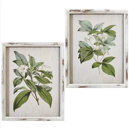 White Trim Botanical Green Print-vendor-unknown-Lasting Impressions