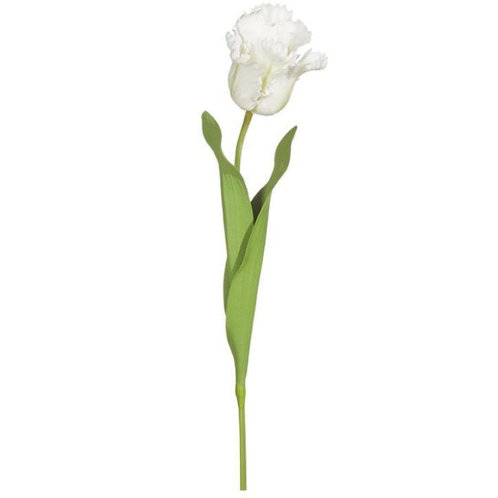 White Tulip Stem-vendor-unknown-Lasting Impressions