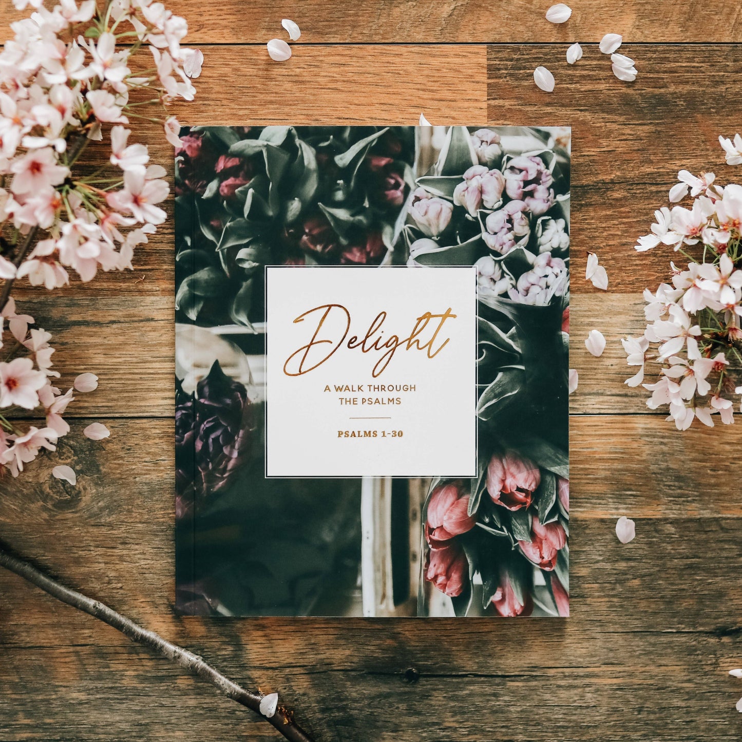 Delight - Study on Psalms 1-30