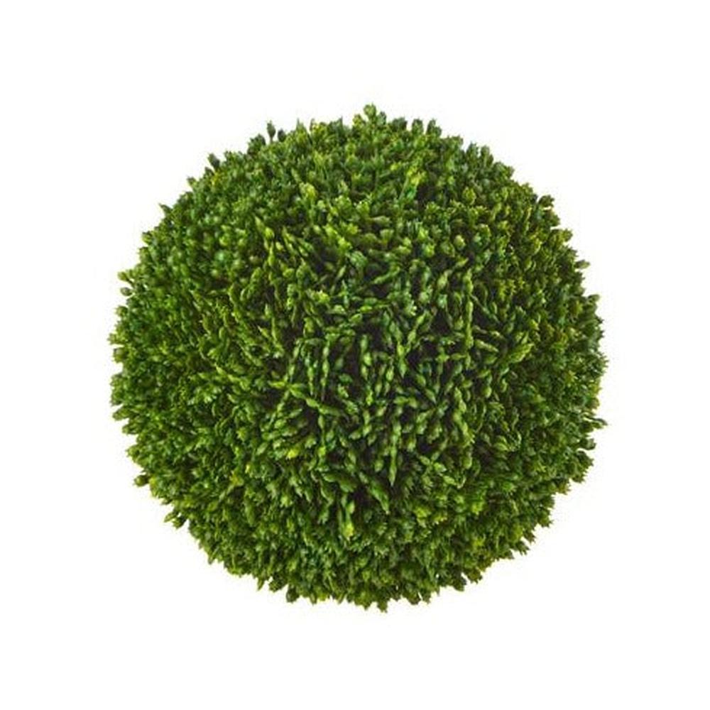 Sedum Ball