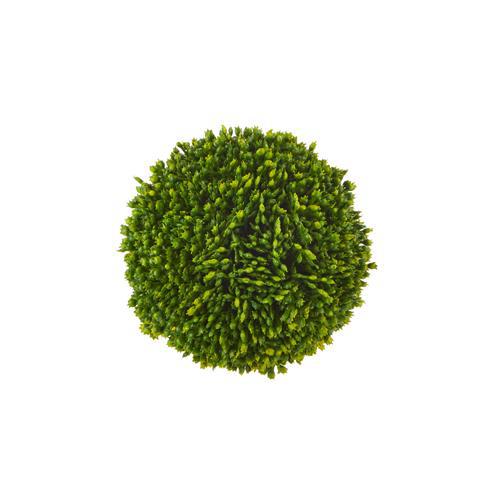 Sedum Ball