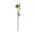 Ranunculus Silk Stem