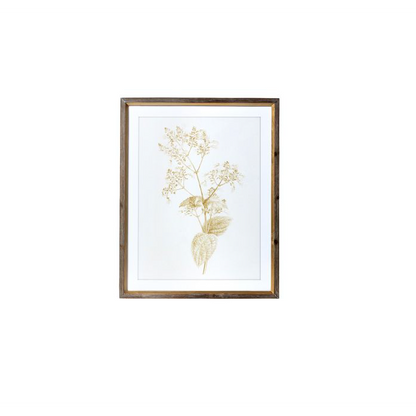 Sepia Botanical Framed Print