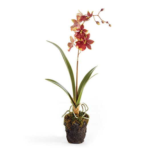 Napa Dancing Orchid 15" Drop In