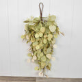 Eucalyptus Cedar Tear Drop