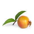 Pomegranate with Leaf