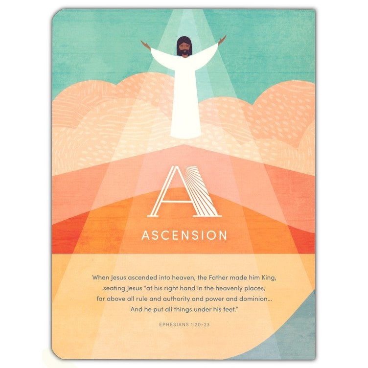 We Believe, Kids' Board Book