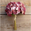 Maroon Hydrangea Bundle-Park Hill-Lasting Impressions