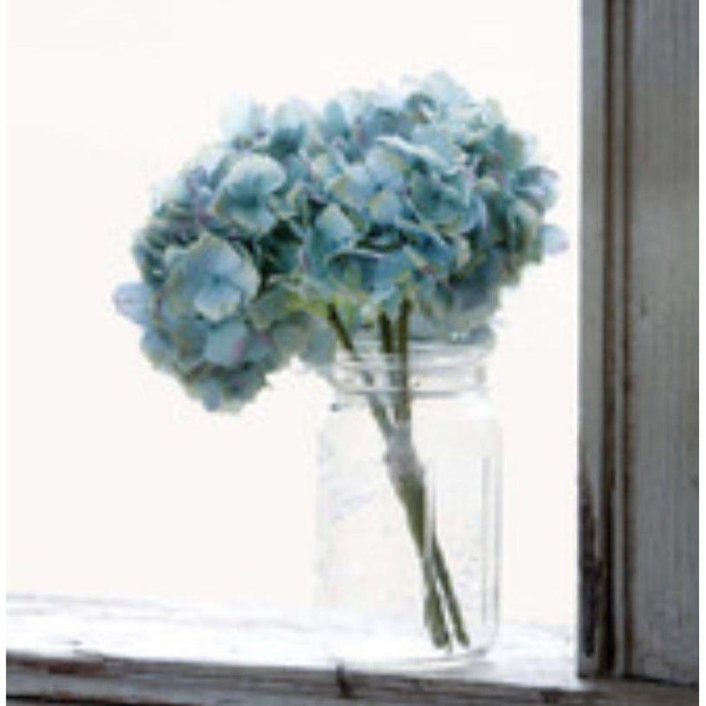 Blue Hydrangea Bundle-Park Hill-Lasting Impressions