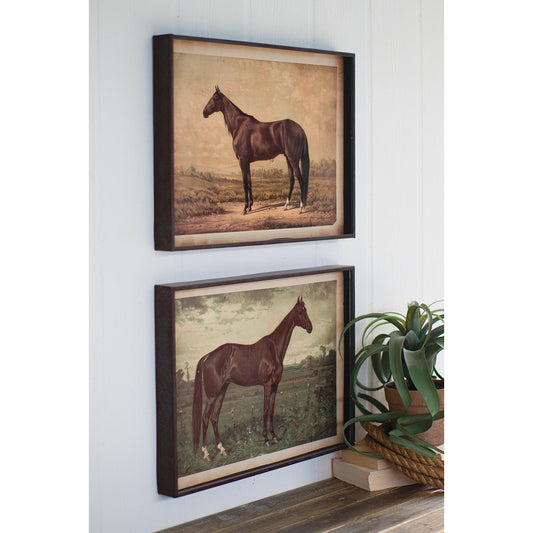 Horse Prints Under Glass