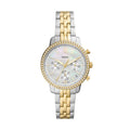 FOSSIL Women's Neutra Round Watch