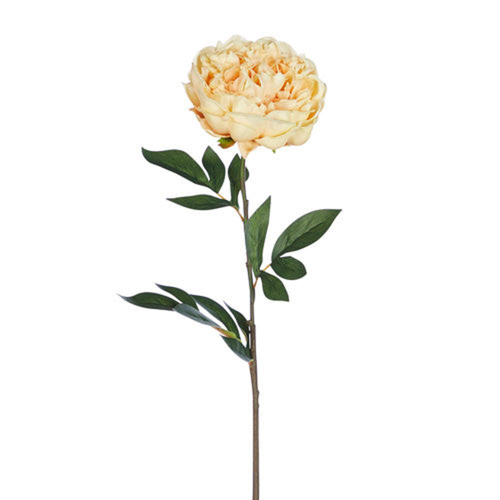 Peach Peony Stem | Bridal Shower Lexi Hutchins & Kain Yates